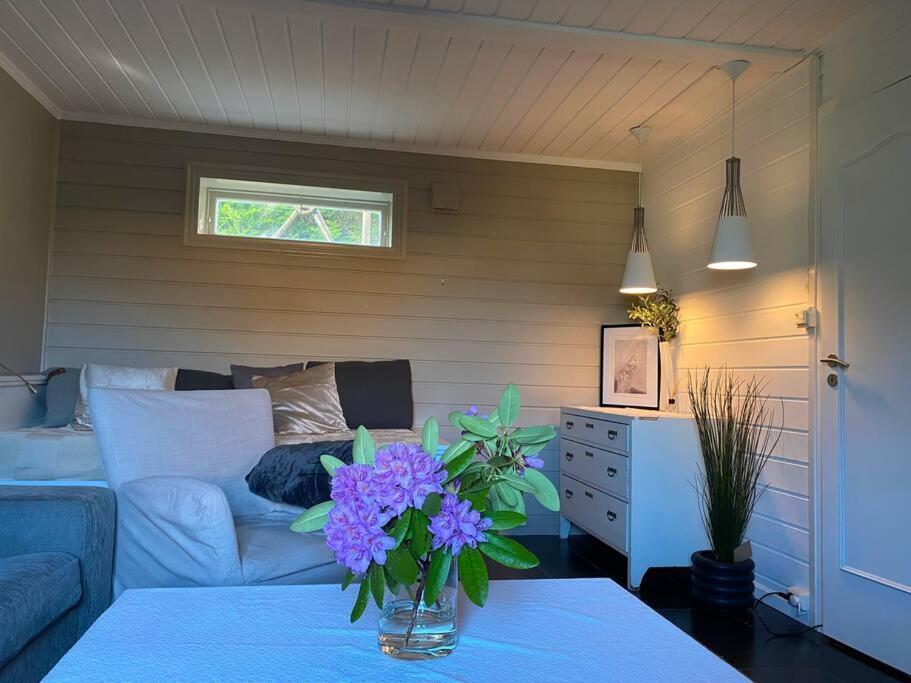 Cosy And Well-Equipped Apartment With Free Parking Trondheim Exteriér fotografie