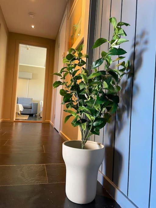 Cosy And Well-Equipped Apartment With Free Parking Trondheim Exteriér fotografie